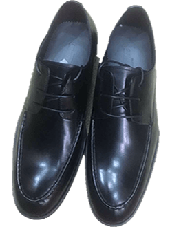 leather shoe 003