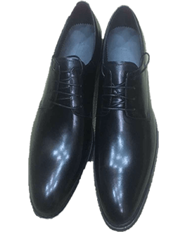 leather shoe 004